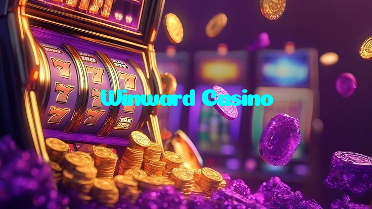available types of Winward Casino bet including pre-match live express and system bets
